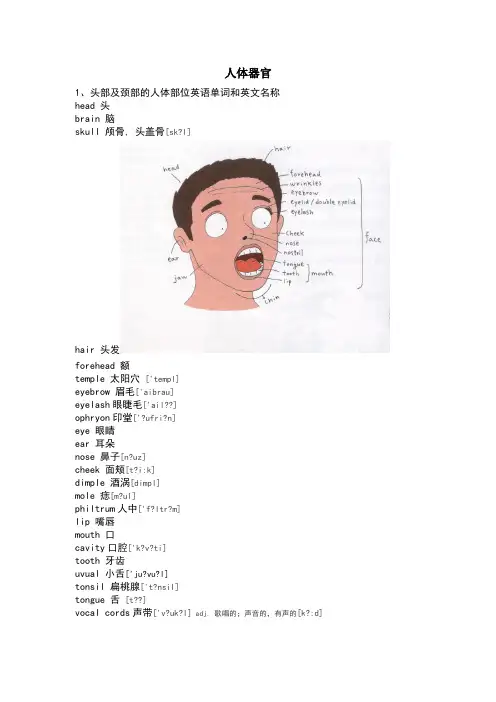 英语学习---人体器官+配图