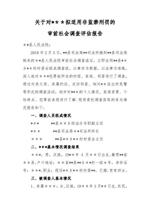 审前社会调查评估报告