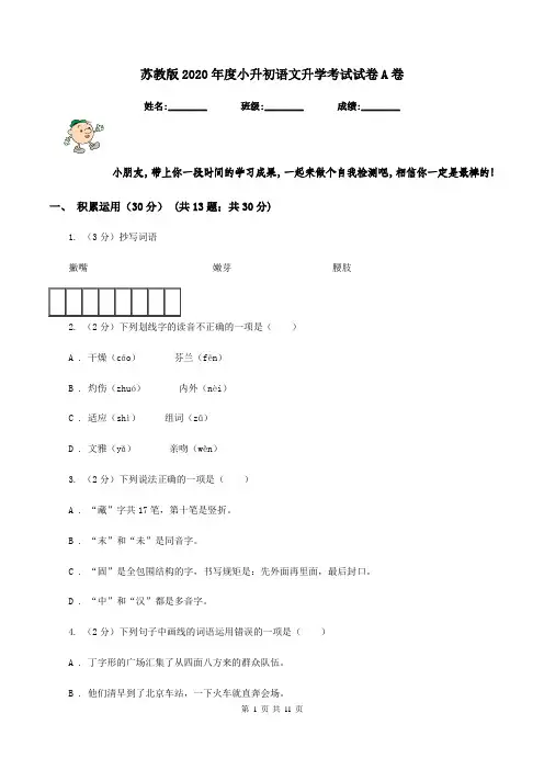 苏教版2020年度小升初语文升学考试试卷A卷