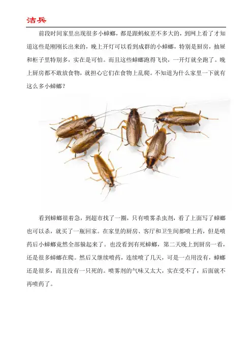 刚会爬蟑螂幼虫很多怎么办