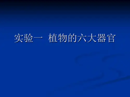 植物的六大器官ppt课件