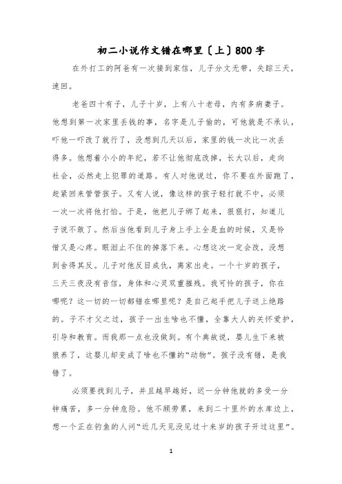 初二小说作文错在哪里〔上〕800字