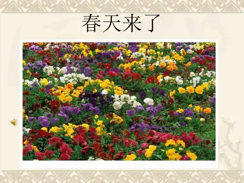 《春天》作文PPT 课件