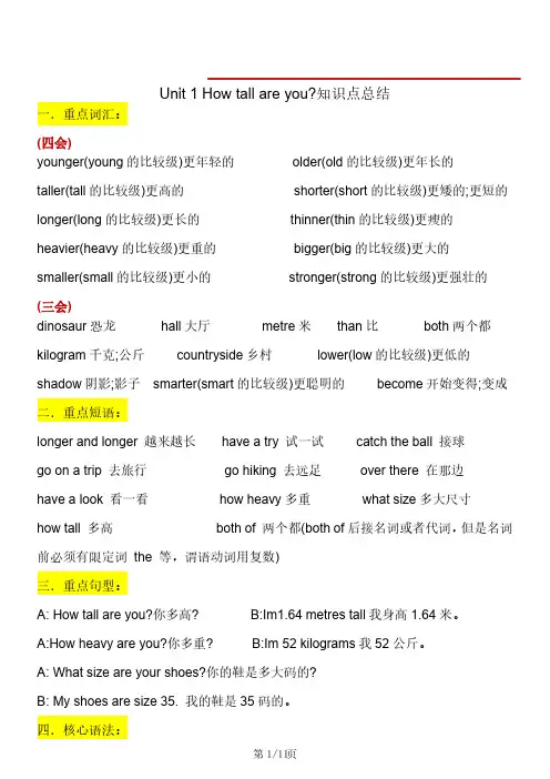 1.24《六年级下册英语单元知识点总结》六下英语【人教PEP版】