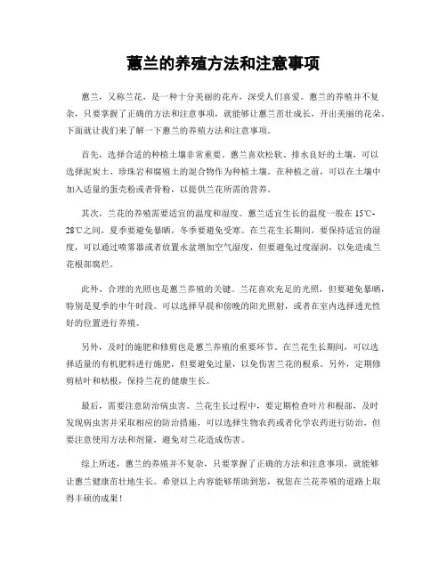 蕙兰的养殖方法和注意事项