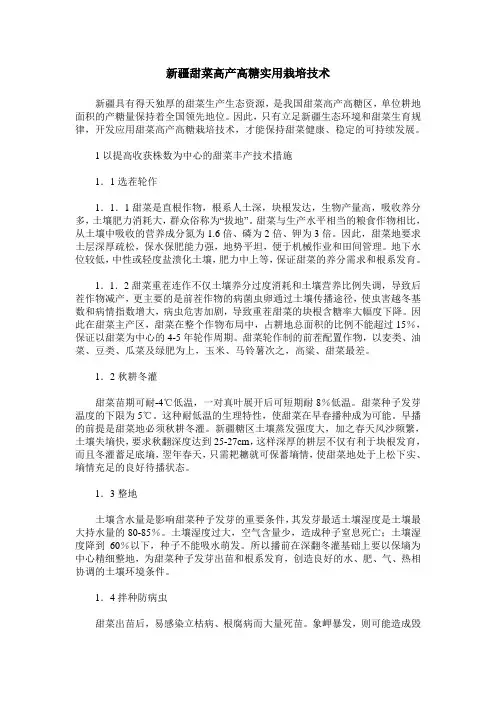 新疆甜菜高产高糖实用栽培技术