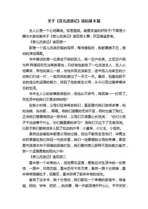关于《苦儿流浪记》读后感6篇