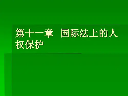 第十一章  国际法上的人权保护
