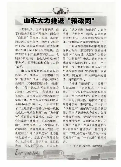 山东大力推进“粮改饲”