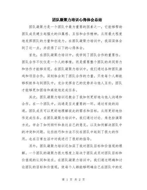 团队凝聚力培训心得体会总结