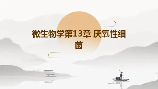 微生物学第13章厌氧性细菌