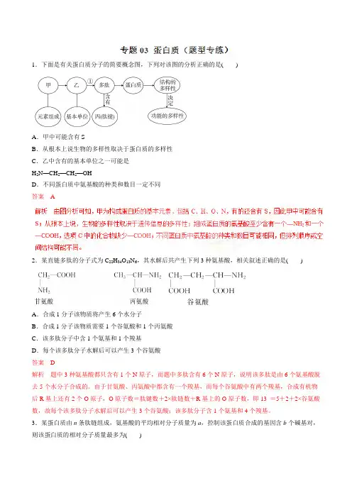 高考生物 蛋白质(题型专练)-生物热点题型例题分析(解析版)