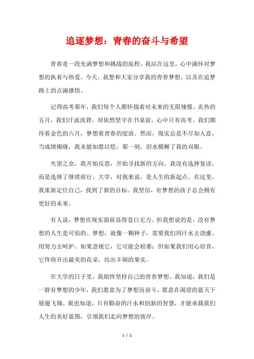 追逐梦想：青春的奋斗与希望