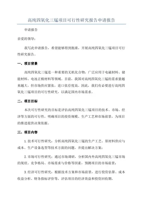 高纯四氧化三锰项目可行性研究报告申请报告
