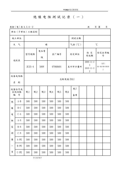 范例-绝缘电阻测试记录文本
