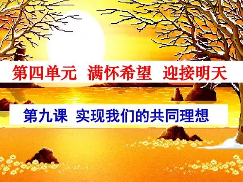 我们的共同理想.ppt