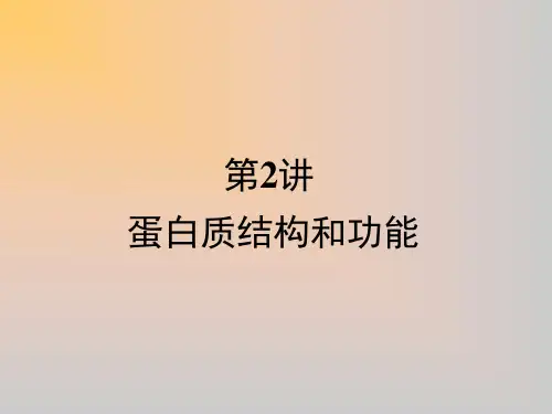 蛋白质的结构和功能(高中一轮复习)ppt课件