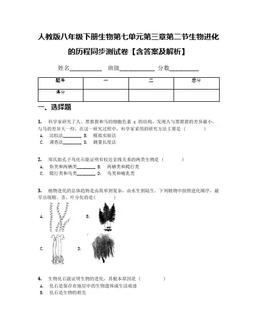 人教版八年级下册生物第七单元第三章第二节生物进化的历程同步测试卷【含答案及解析】