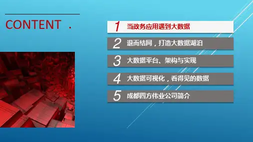 四方伟业政务大数据建设v2-ZG