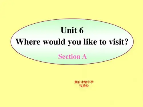 鲁教版初三下Unit 6 Section A