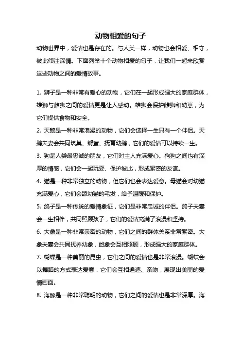 动物相爱的句子