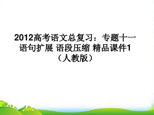 高考语文总复习 专题十一语句扩展语段压缩精品课件1 新人教