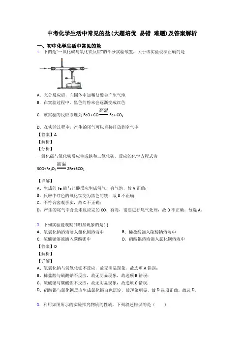 中考化学生活中常见的盐(大题培优 易错 难题)及答案解析