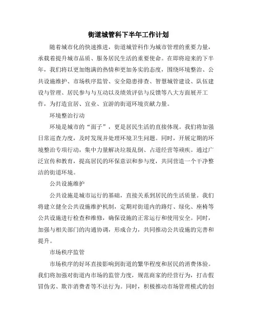 街道城管科下半年工作计划