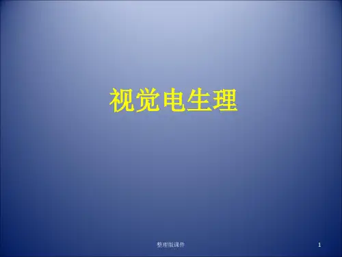 视觉电生理ppt课件