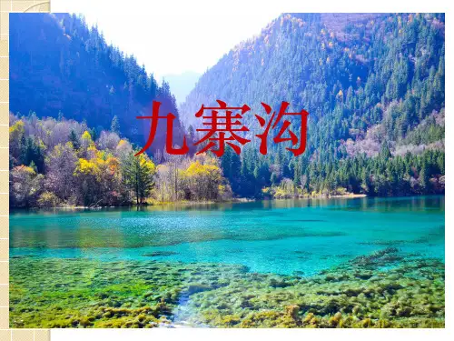 四年级上册语文课件-10 九寨沟｜苏教版(共12张PPT)