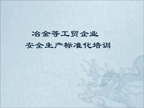 冶金等工贸企业安全生产标准化培训课件.pptx
