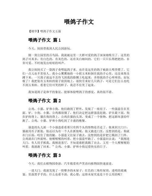 喂鸽子作文