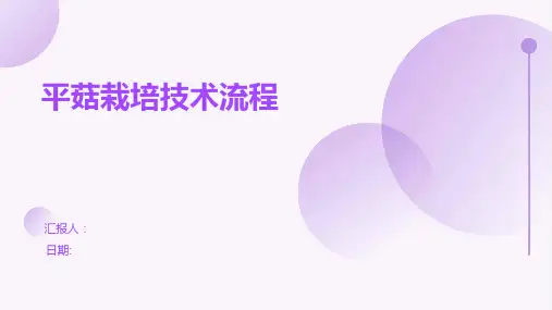 平菇栽培技术流程