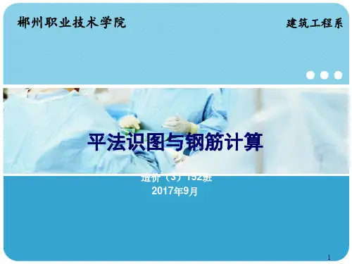 平法识图基础知识ppt课件