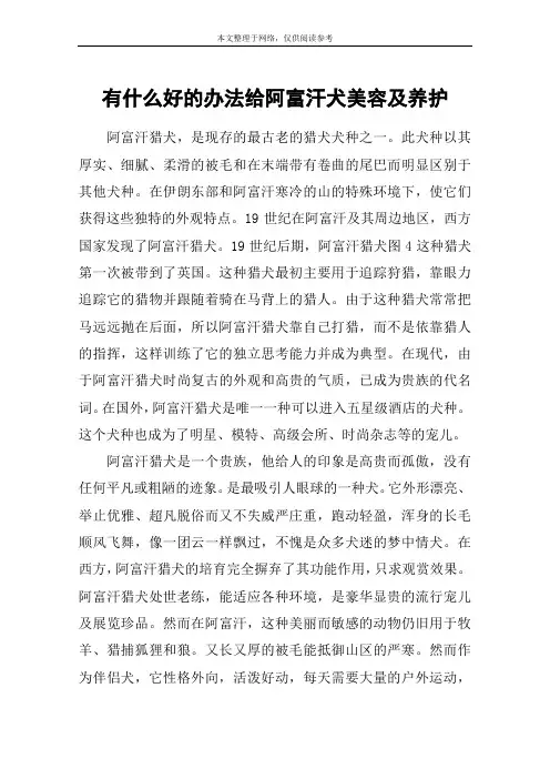 有什么好的办法给阿富汗犬美容及养护