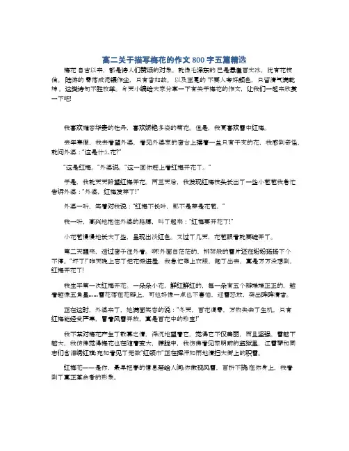 高二关于描写梅花的作文800字五篇精选