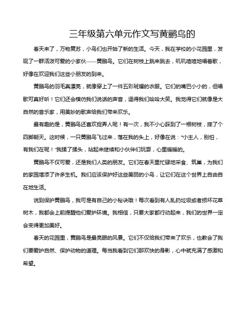 三年级第六单元作文写黄鹂鸟的