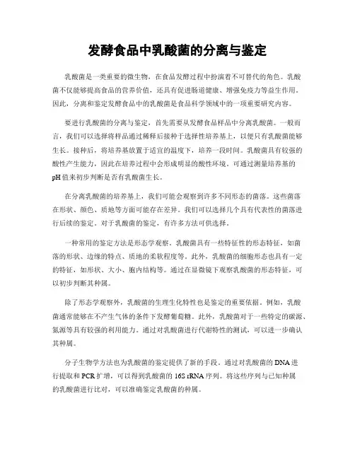 发酵食品中乳酸菌的分离与鉴定