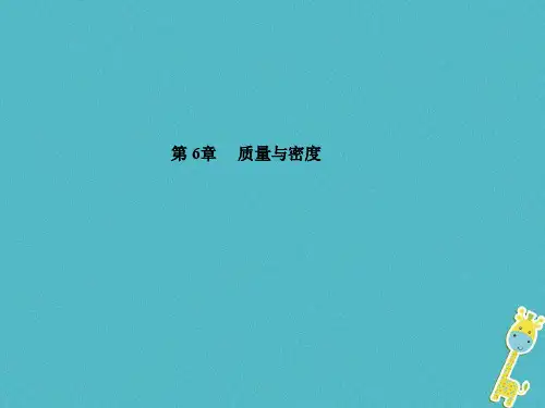 山东省泰安市2018年中考物理一轮复习第6章质量与密度