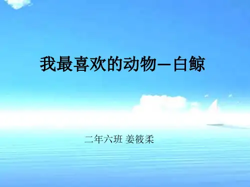 我最喜欢的动物—白鲸