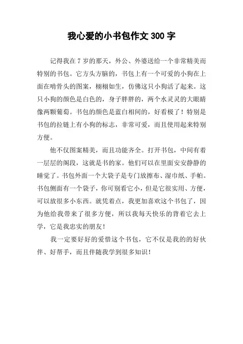 我心爱的小书包作文300字