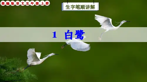 部编版语文五年级上册1课《白鹭》生字笔顺讲解课件