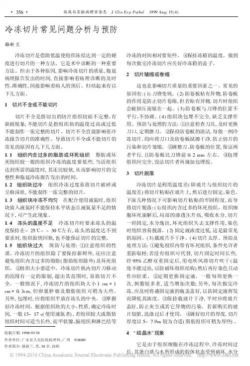 冷冻切片常见问题分析与预防