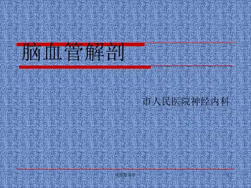 脑血管病解剖ppt课件