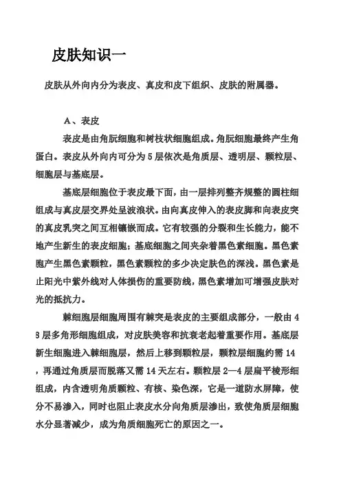 皮肤知识一、二