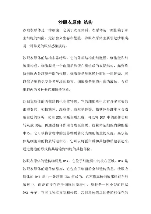 沙眼衣原体 结构