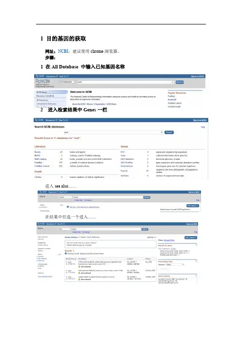 引物设计专题