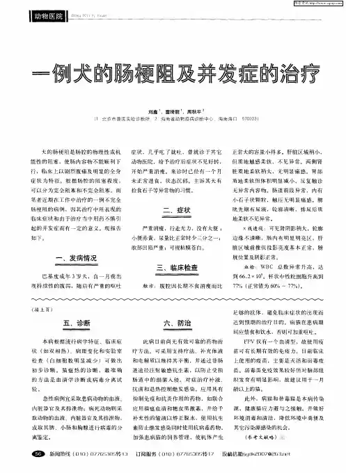 一例犬的肠梗阻及并发症的治疗