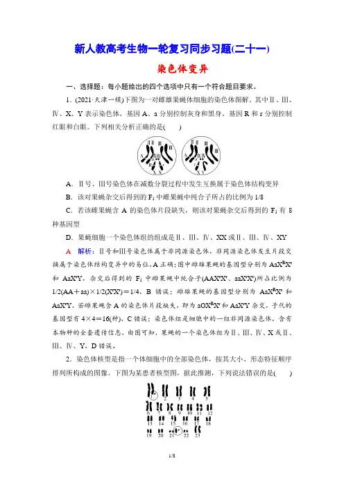 新人教高考生物一轮复习同步习题(21) 染色体变异