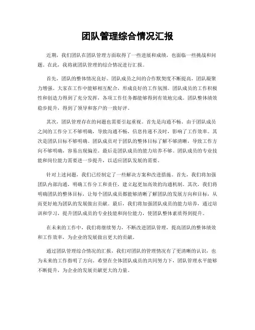 团队管理综合情况汇报